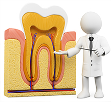 正しい虫歯の知識を基に予防・治療を